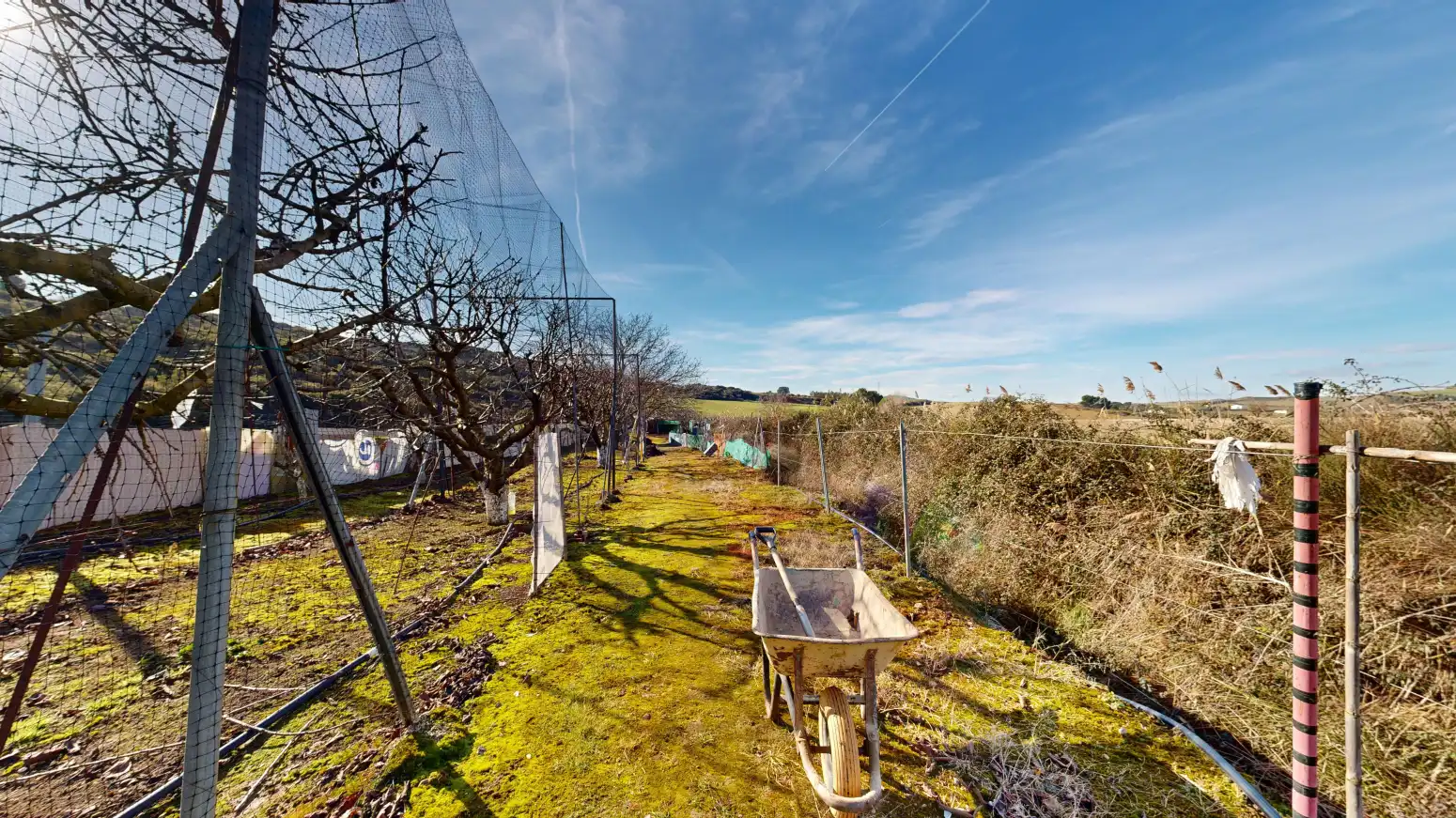 Rural land for sale in Tafalla - TERMINO JUNCAL, imagen 19