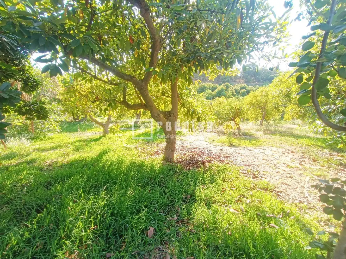 Casa o chalet en venta en Nerja con Amueblado