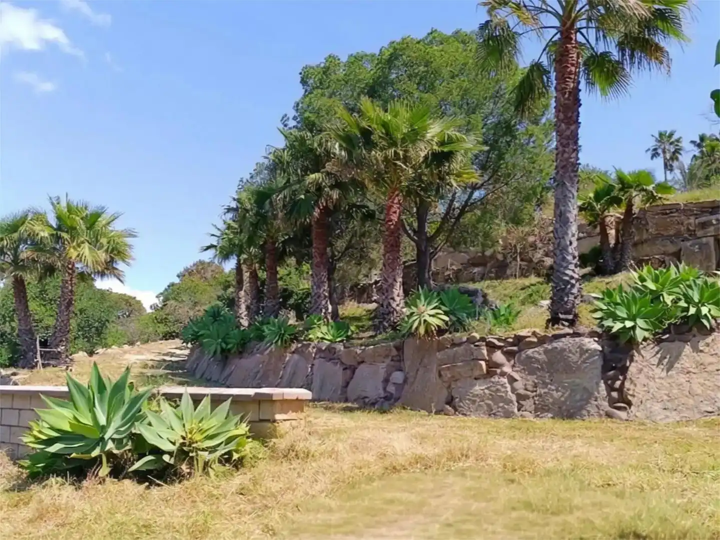 Finca rústica en venda en Estepona
