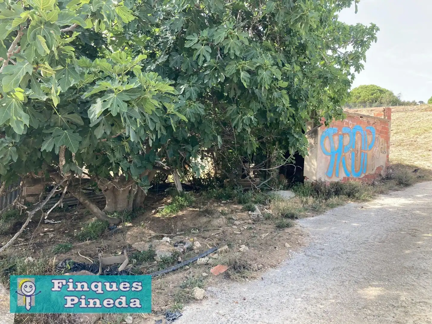 Rural land for sale in Calella, imagen 6