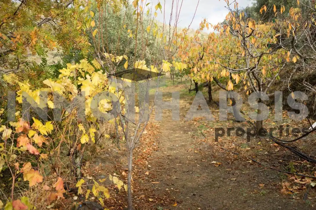 Casa o xalet en venda en Abrucena amb Jardí privat, Terrassa i Moblat
