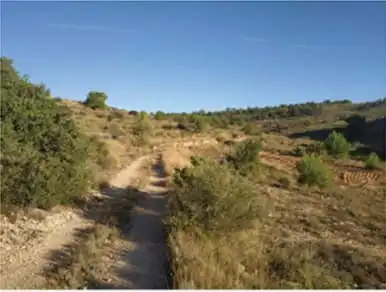 Terreny rústic en venda a Paraje Algayat, imagen 7