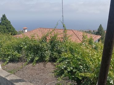 Casa rústica amb jardí en venda a Santa Bárbara - La Florida