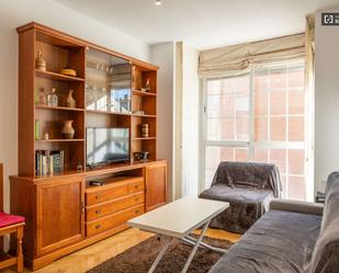 Living room of Study to share in  Madrid Capital  with Air Conditioner, Heating and Terrace