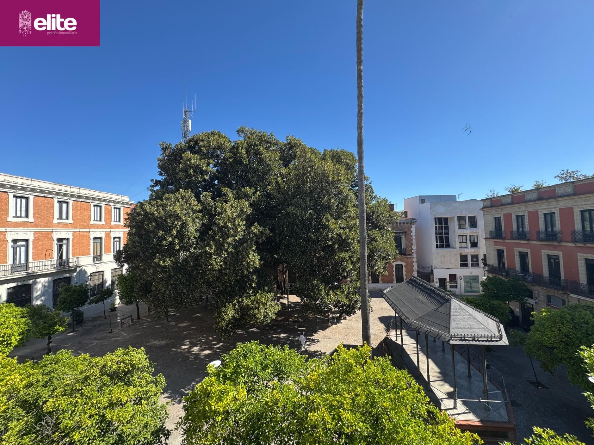 Exterior view of House or chalet for sale in Jerez de la Frontera  with Private garden