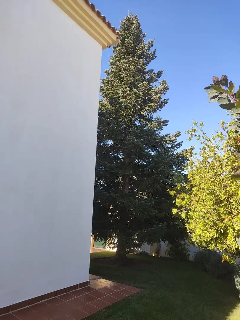 Vista exterior de Casa o chalet de alquiler en Ronda con Aire acondicionado, Calefacción y Jardín privado