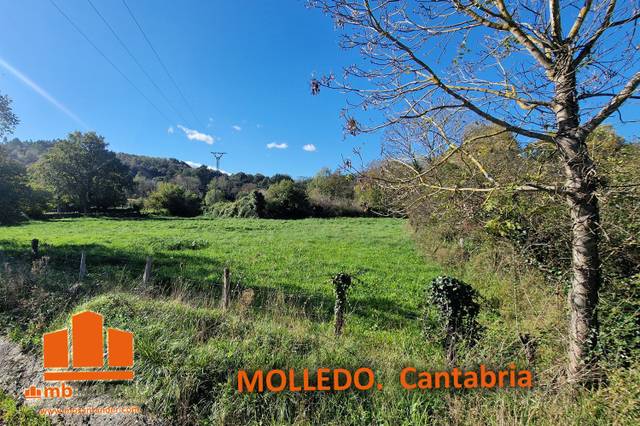 Finca rústica en Venta en Molledo