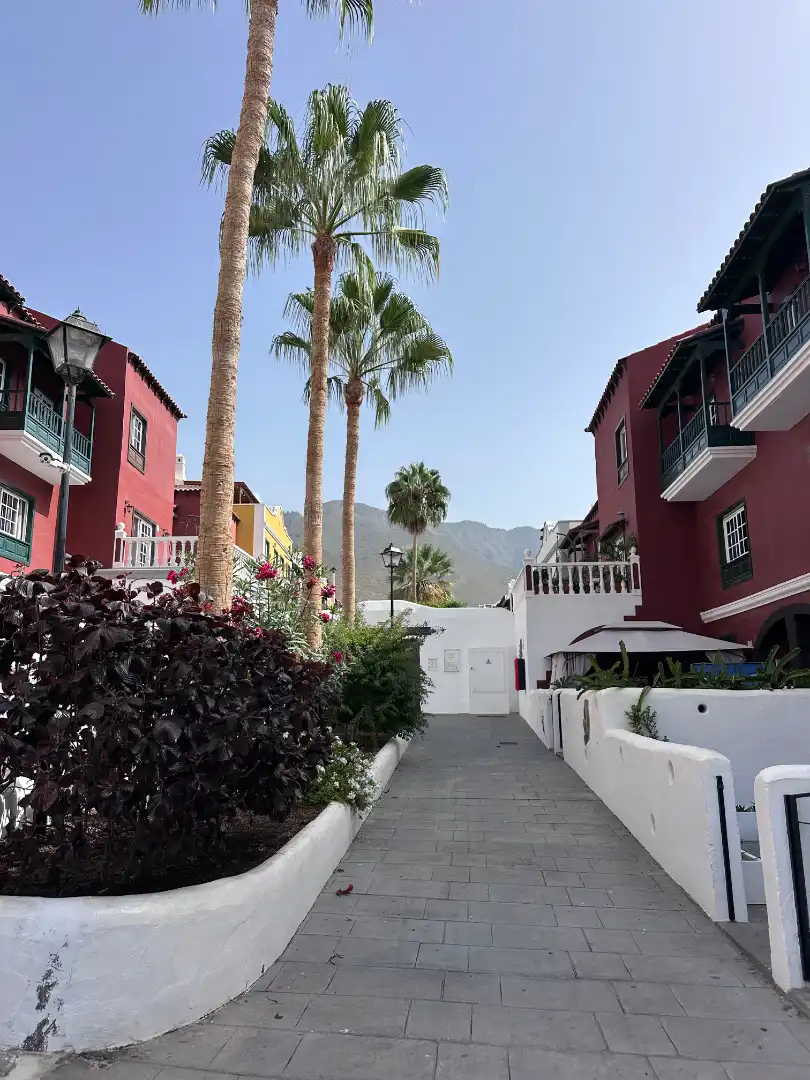 Vista exterior de Casa adosada en venta en Adeje con Terraza, Amueblado y Lavadora