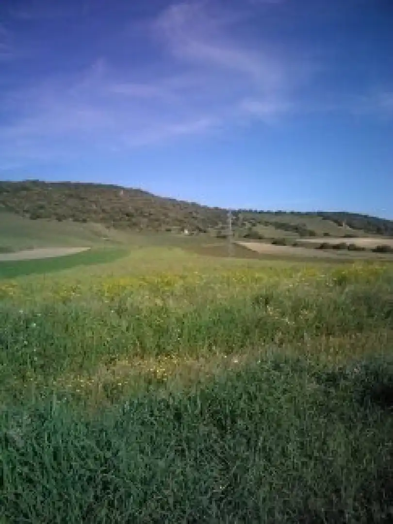 Terreno residencial en venta en Vejer