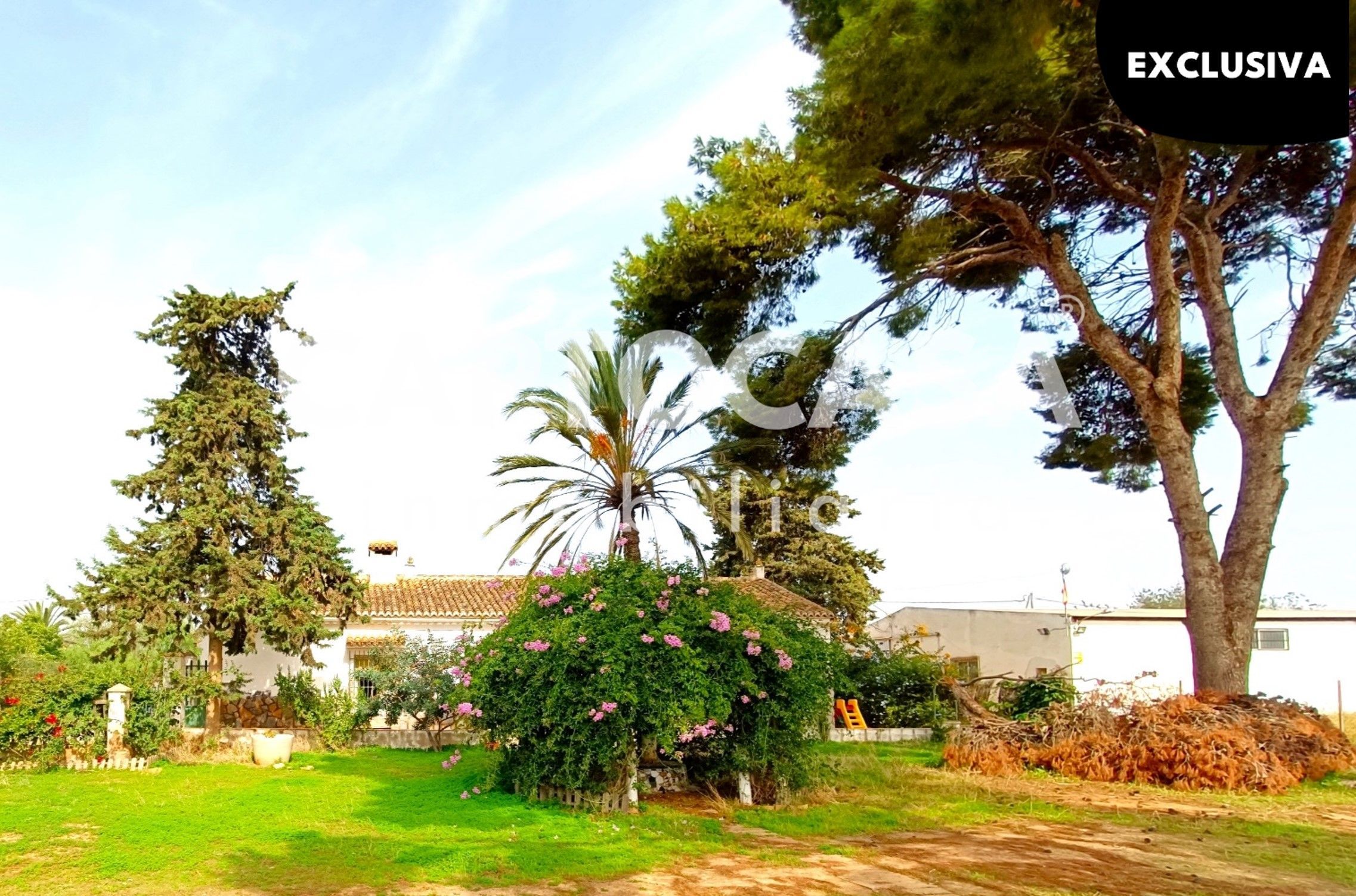 Country homes for sale in La Palma