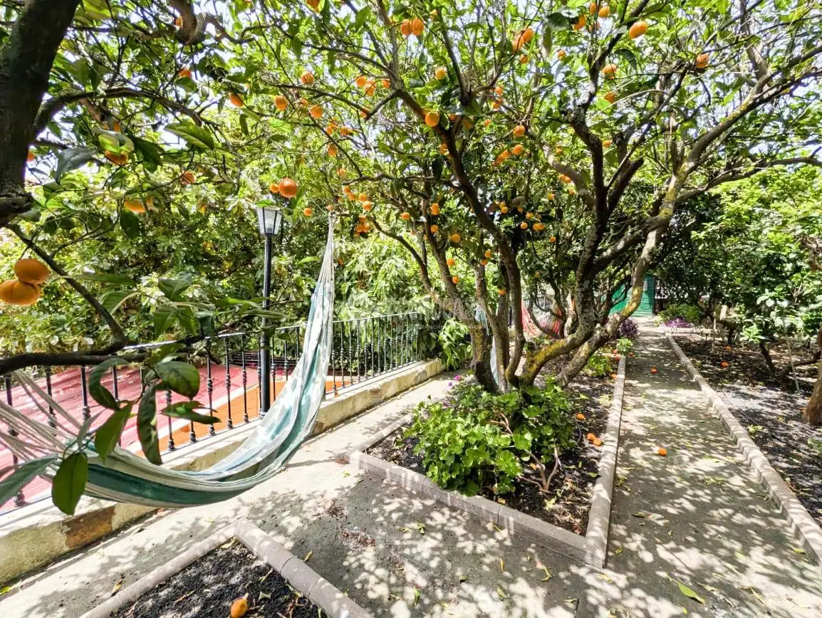 Jardín de Casa o chalet en venta en Valsequillo de Gran Canaria con Aire acondicionado y Parquet