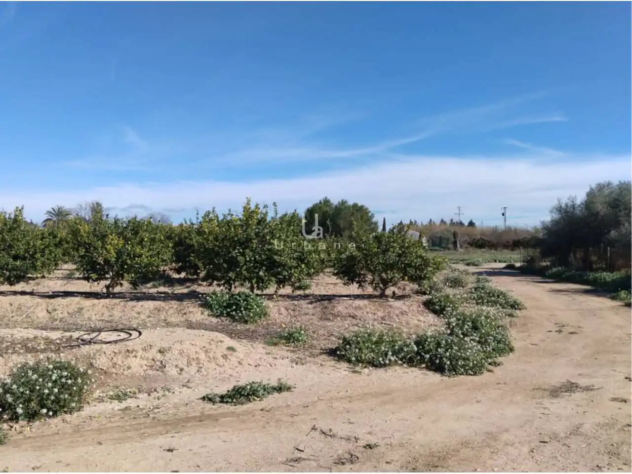 Terreny rústic en venda a Camino Huerta de Abajo, imagen 7
