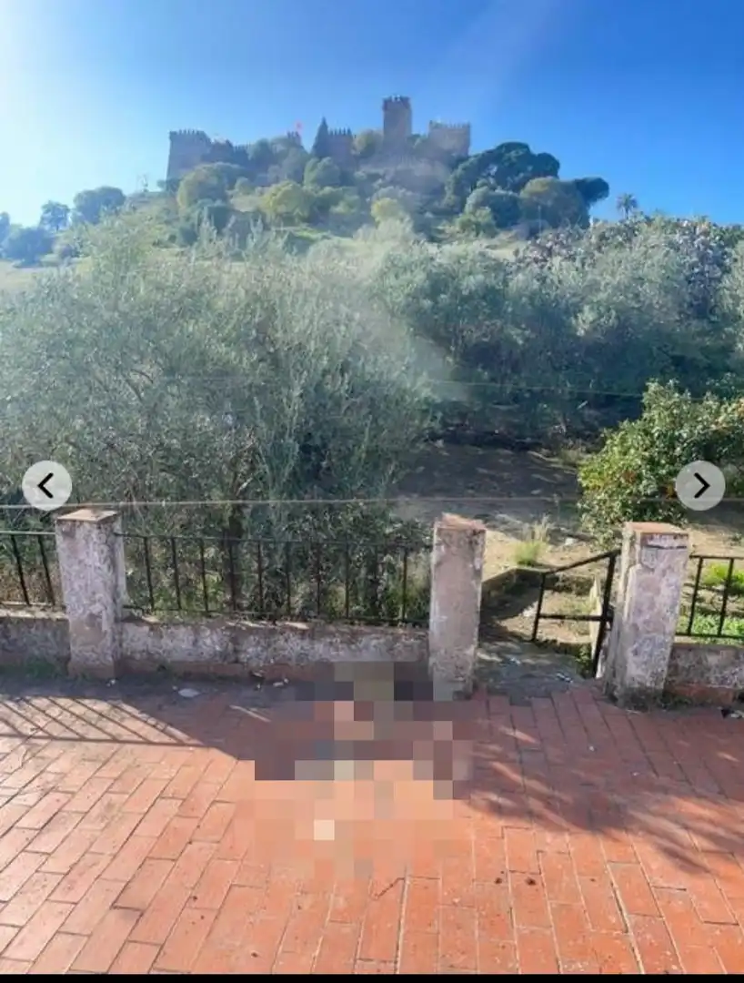 Finca rústica en venta en Almodóvar del Río con Terraza