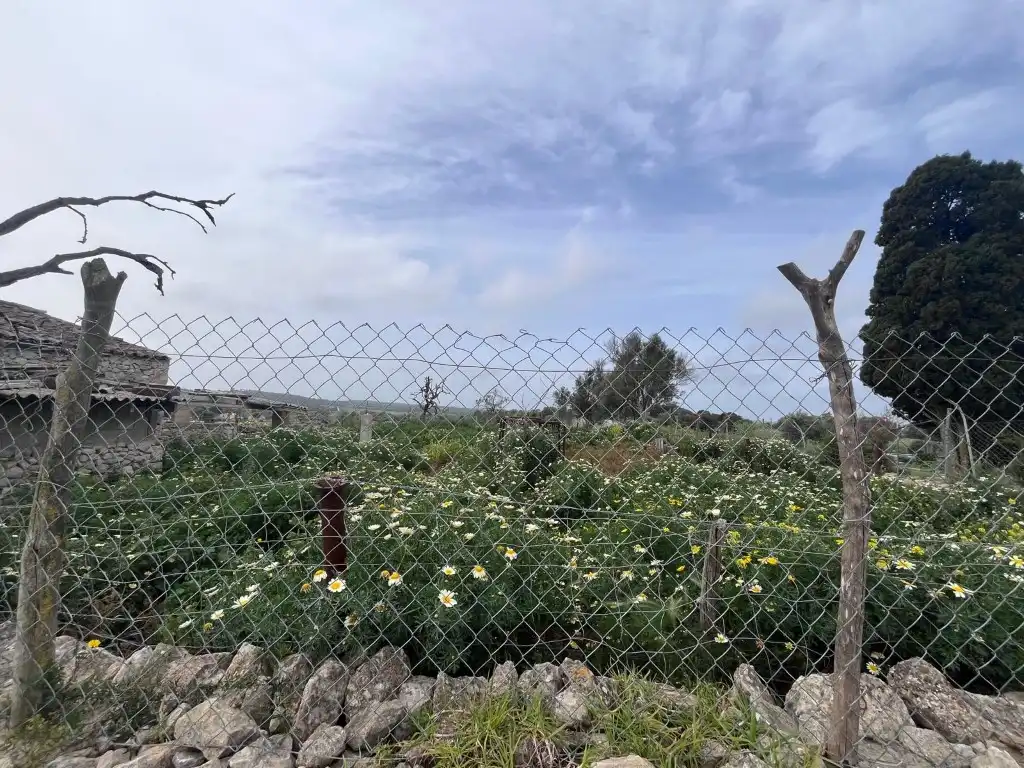 Casa rústica en venta en Poligono 7 Paraje 169 Son Gili, imagen 15