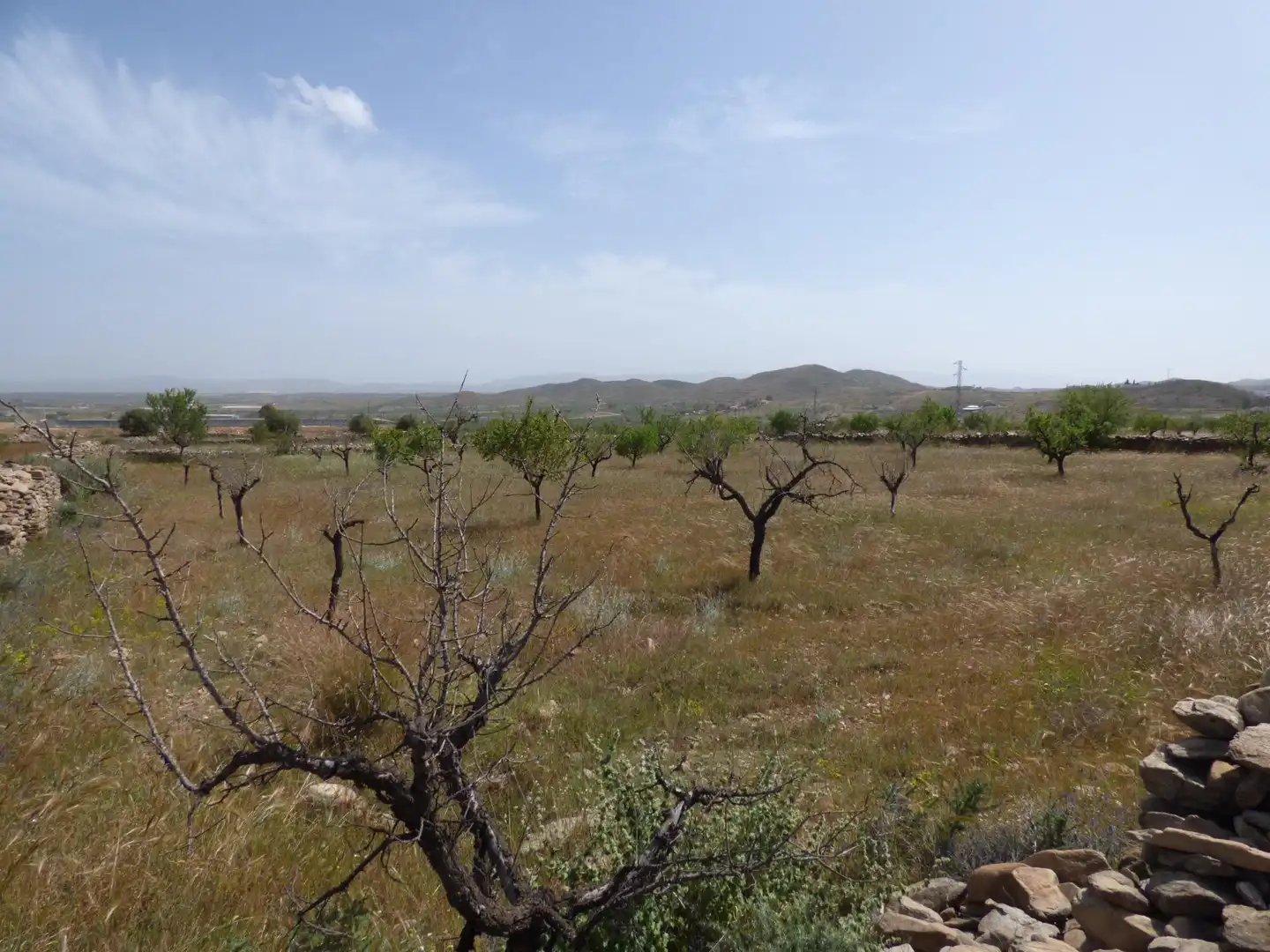 Rustikales Grundstück zum Verkauf in Uleila del Campo, imagen 4