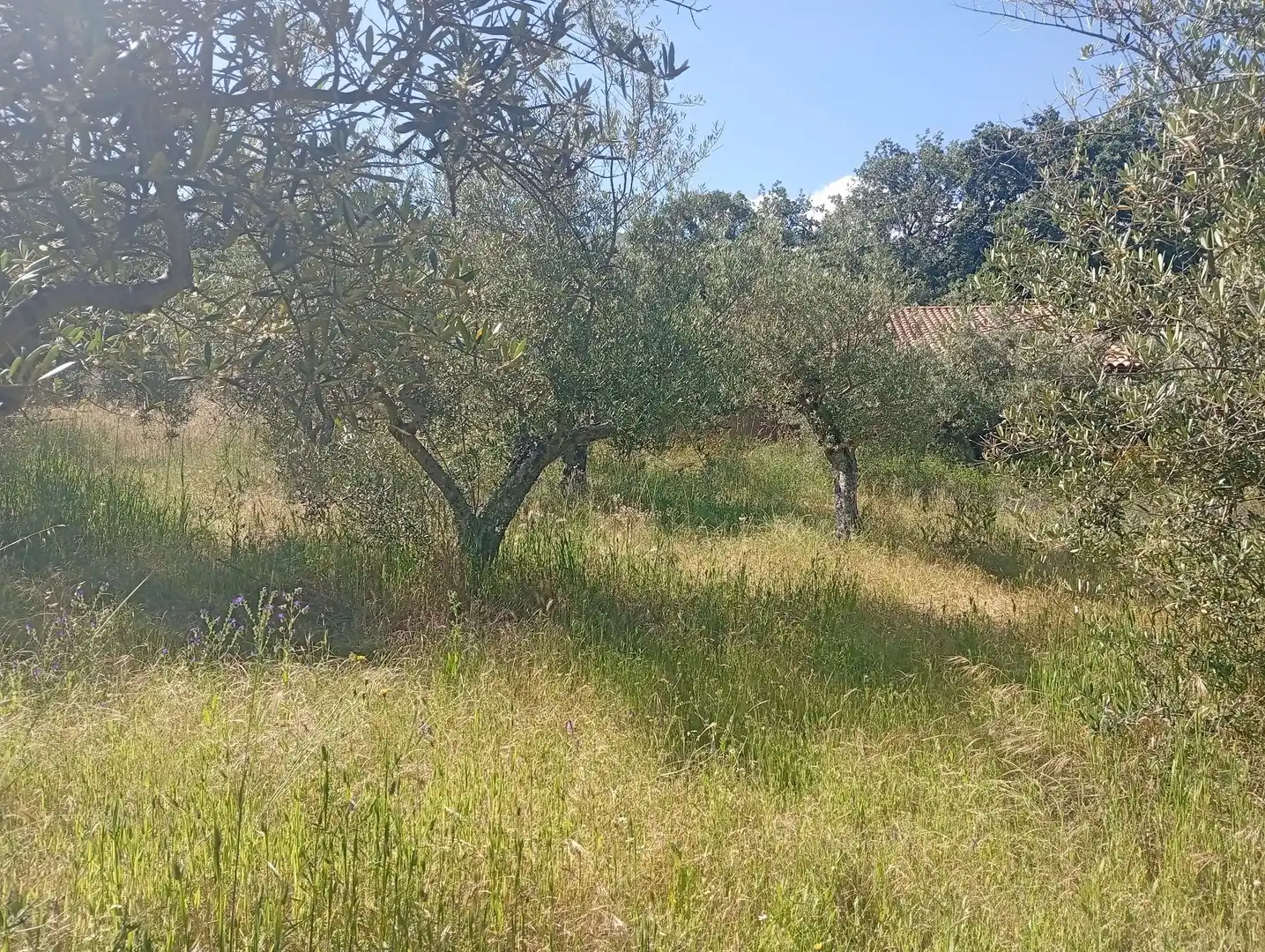 Maison à vendre à Villanueva de la Vera, imagen 47