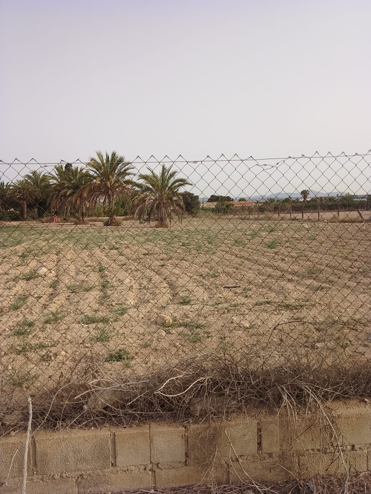 Terreny industrial de lloguer en Elche / Elx