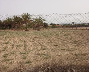 Industrial land to rent in Elche / Elx