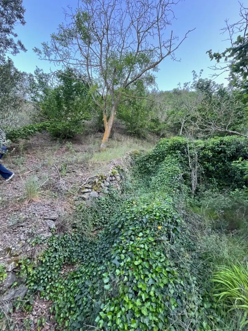Residential for sale in Falset