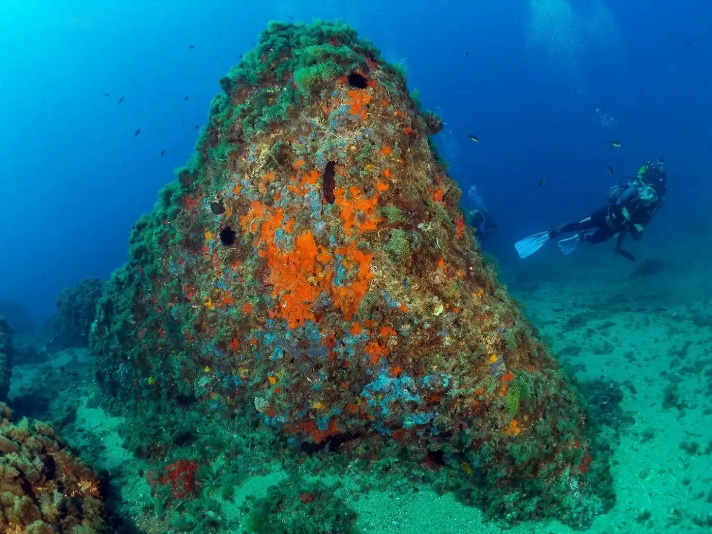 Attique avec piscine à vendre à Isla del Fraile, imagen 34