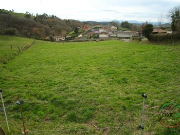 Rural land for sale in San Román - Camino de VALDACEO-SAN ROMÁN