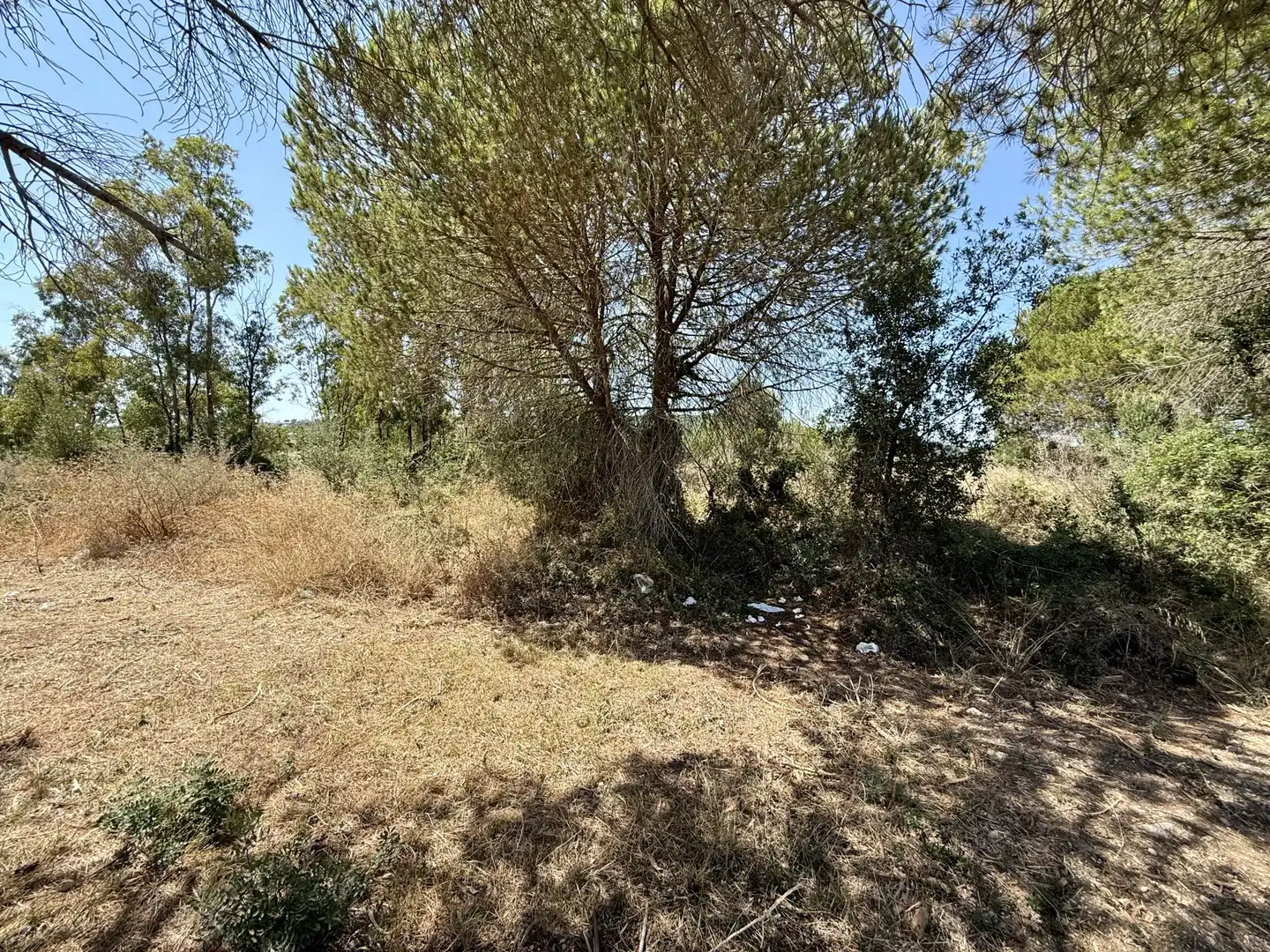 Terrenys i solars en venda a Sotogrande Alto, imagen 12
