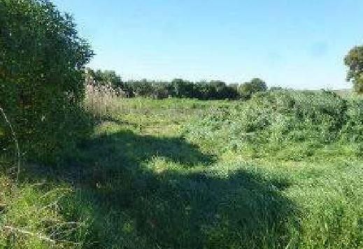 Land for sale in Sanlúcar de Barrameda