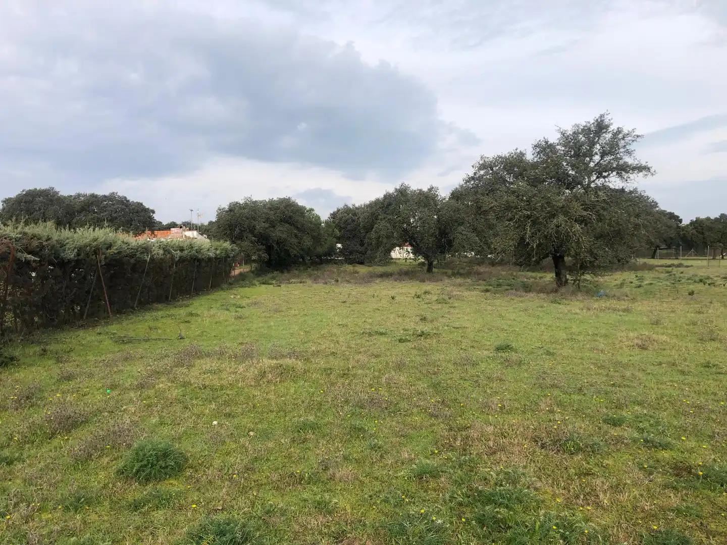 Terreno en venta en Pedanías de Badajoz