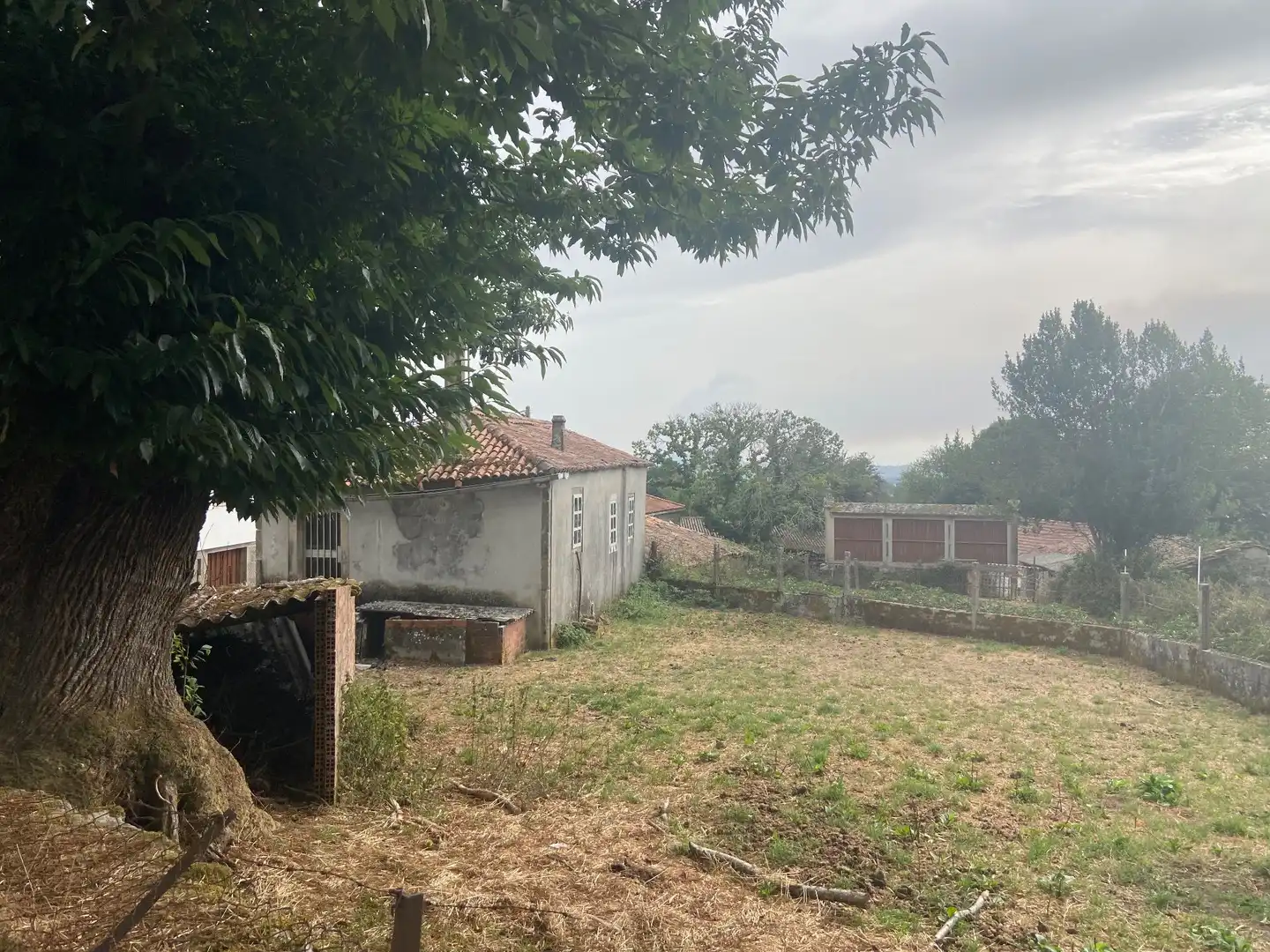 Finca rústica en venta en Rodeiro