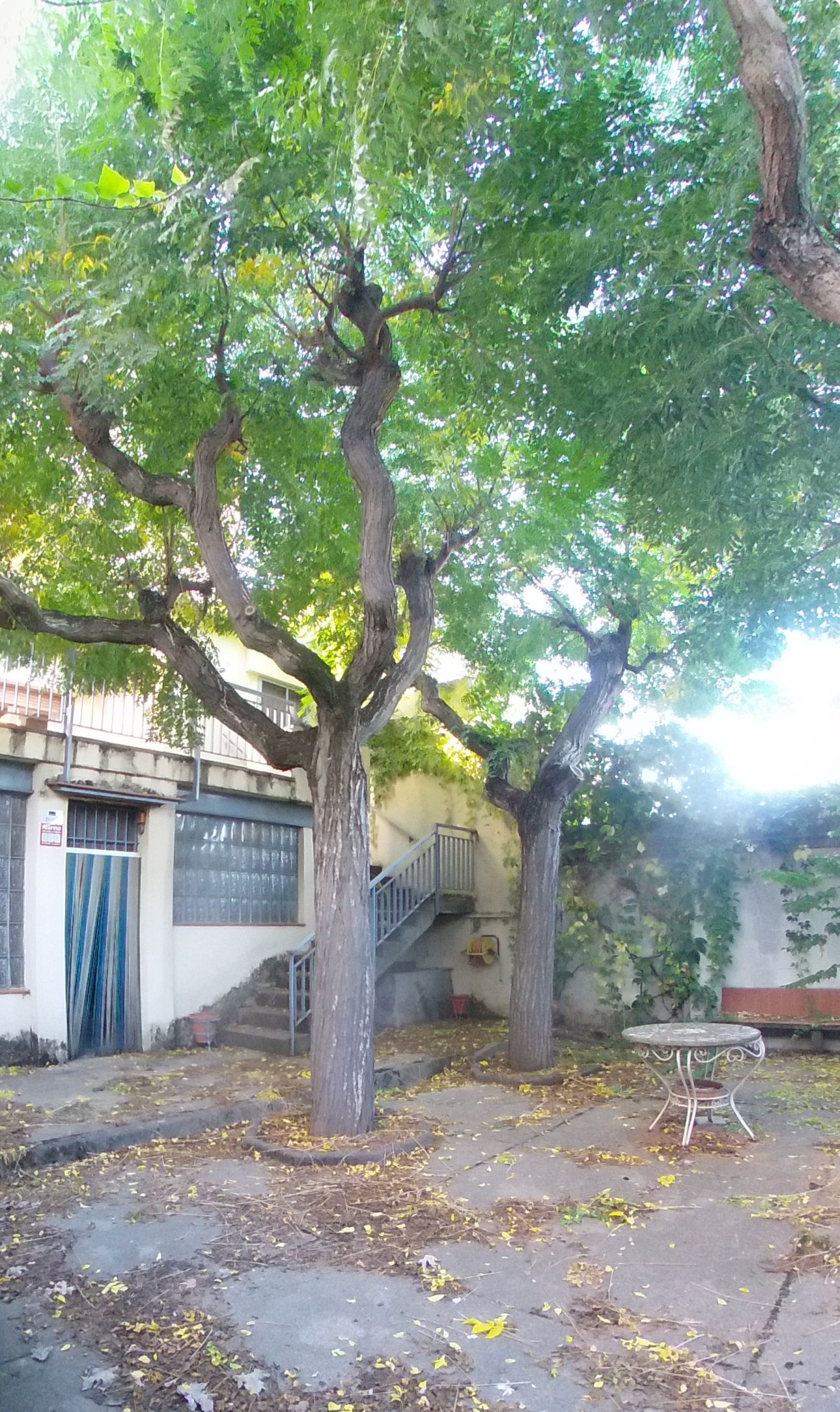 Exterior view of Single-family semi-detached for sale in Tàrrega  with Private garden, Terrace and Storage room