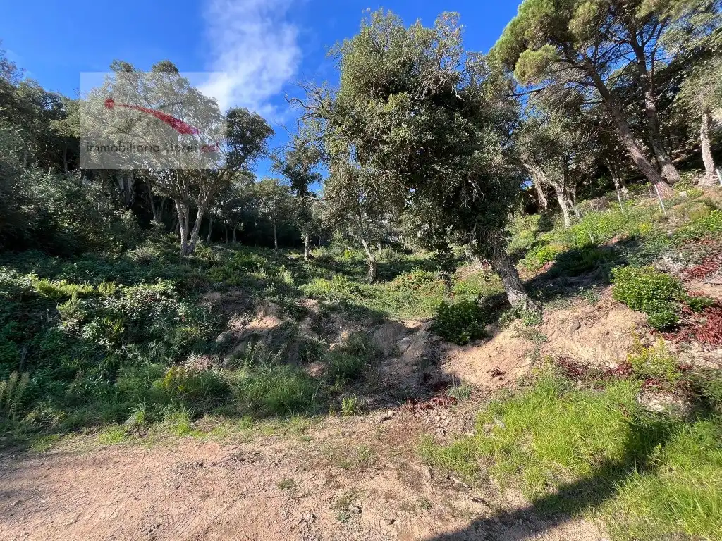 Terreno residencial en venta en Serra Brava, imagen 6