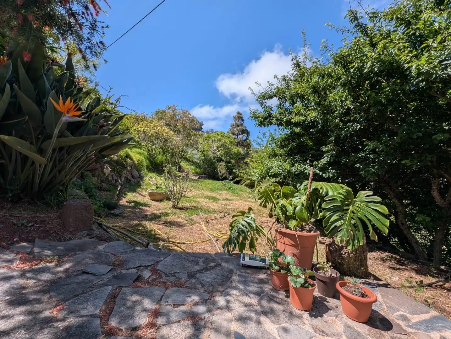 Garden of Houses for rent in Tegueste  with Private garden, Terrace and Swimming Pool