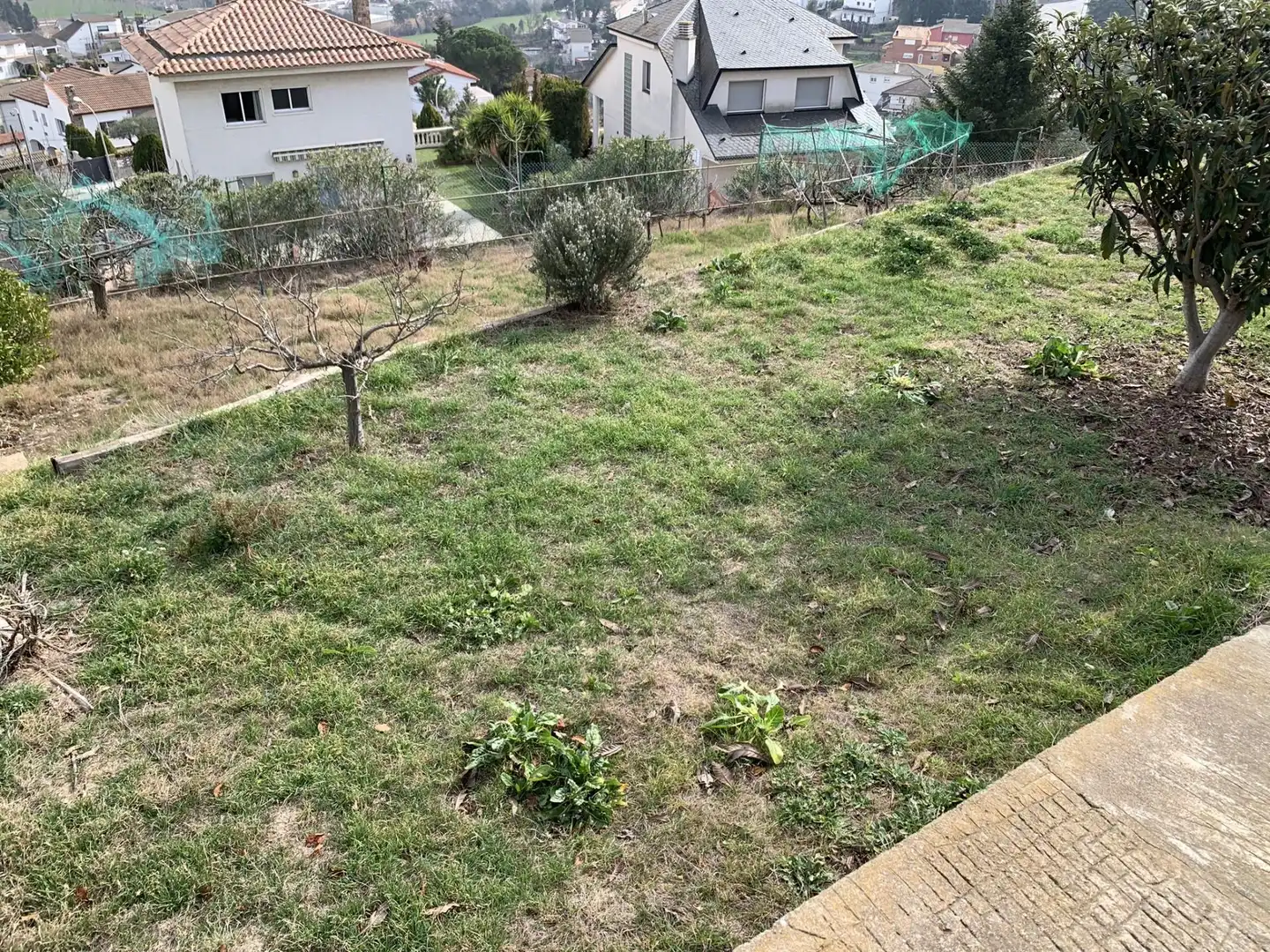 Terrenos y solares en venta en Calle SANTA LAURA, imagen 8