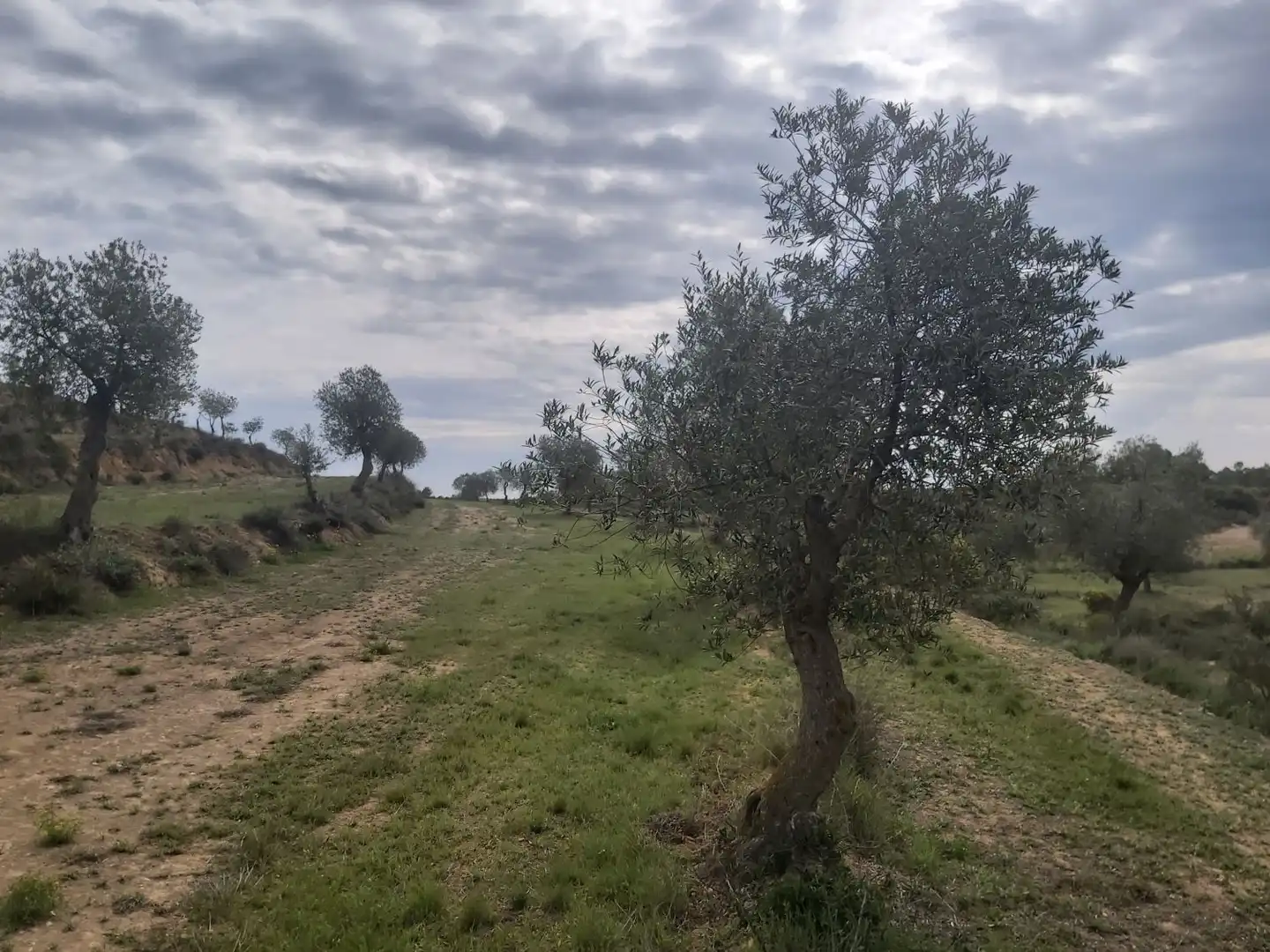 Country homes for sale in Seròs