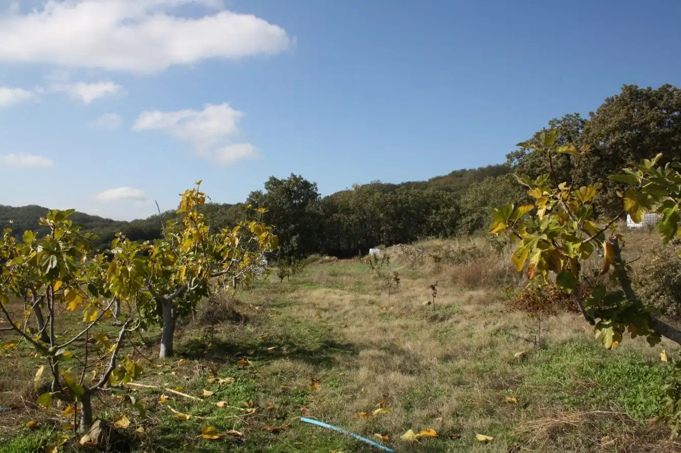 Finca rústica en venta en Torremenga con Jardín privado, Terraza y Amueblado