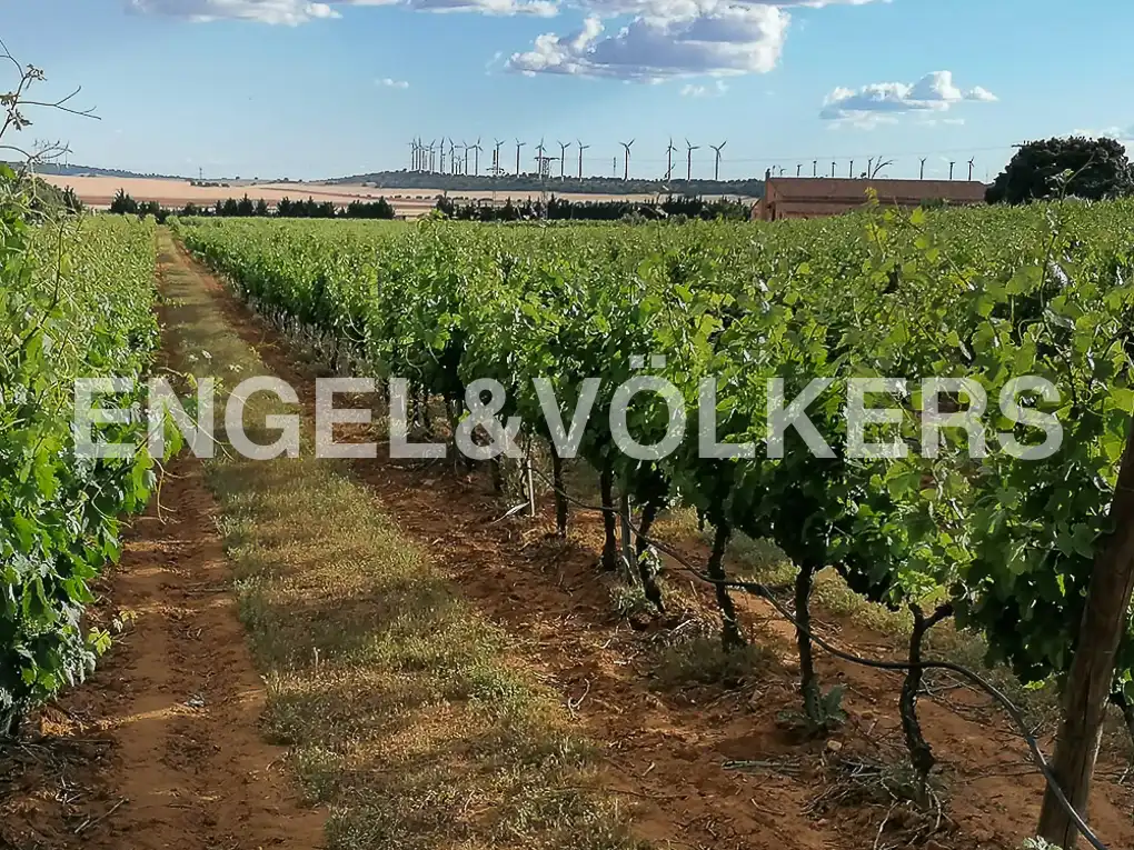 Casa o chalet en venta en Chinchilla de Monte-Aragón con Calefacción, Jardín privado y Terraza