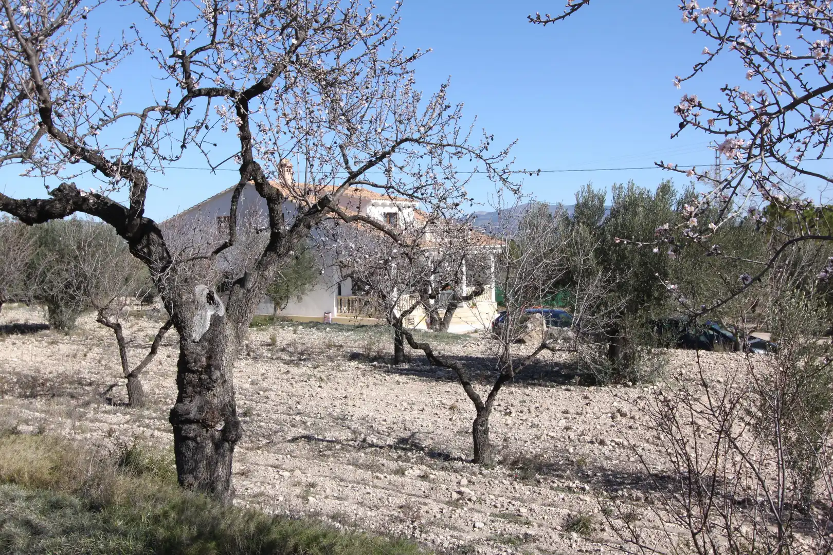 Detached house for sale in Carretera Petrer-Castalla, Castalla, l'Alcoià, Alacant / Alicante, Valencian Community, 03420, Spain, imagen 10