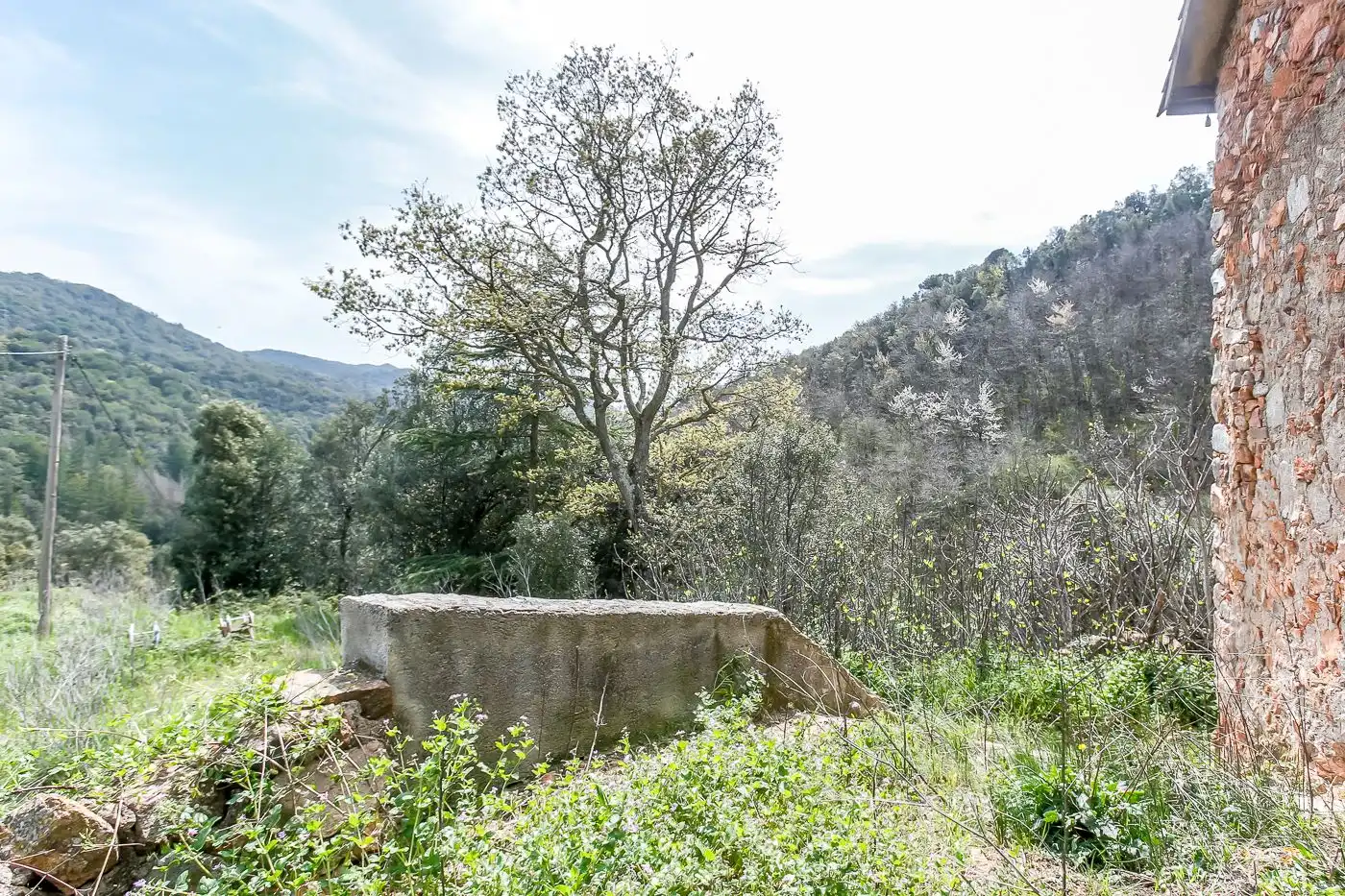 Finca rústica en venda a Arbúcies