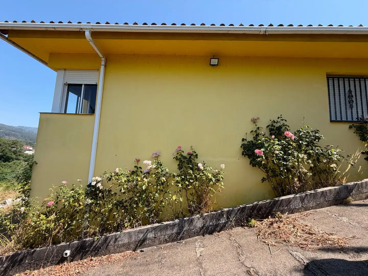 Vista exterior de Casa o xalet en venda en A Cañiza   amb Calefacció, Jardí privat i Terrassa