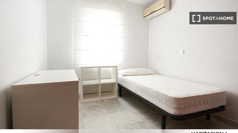 Photo 4 of Flat for share in El Tardón - El Carmen,  Sevilla Capital
