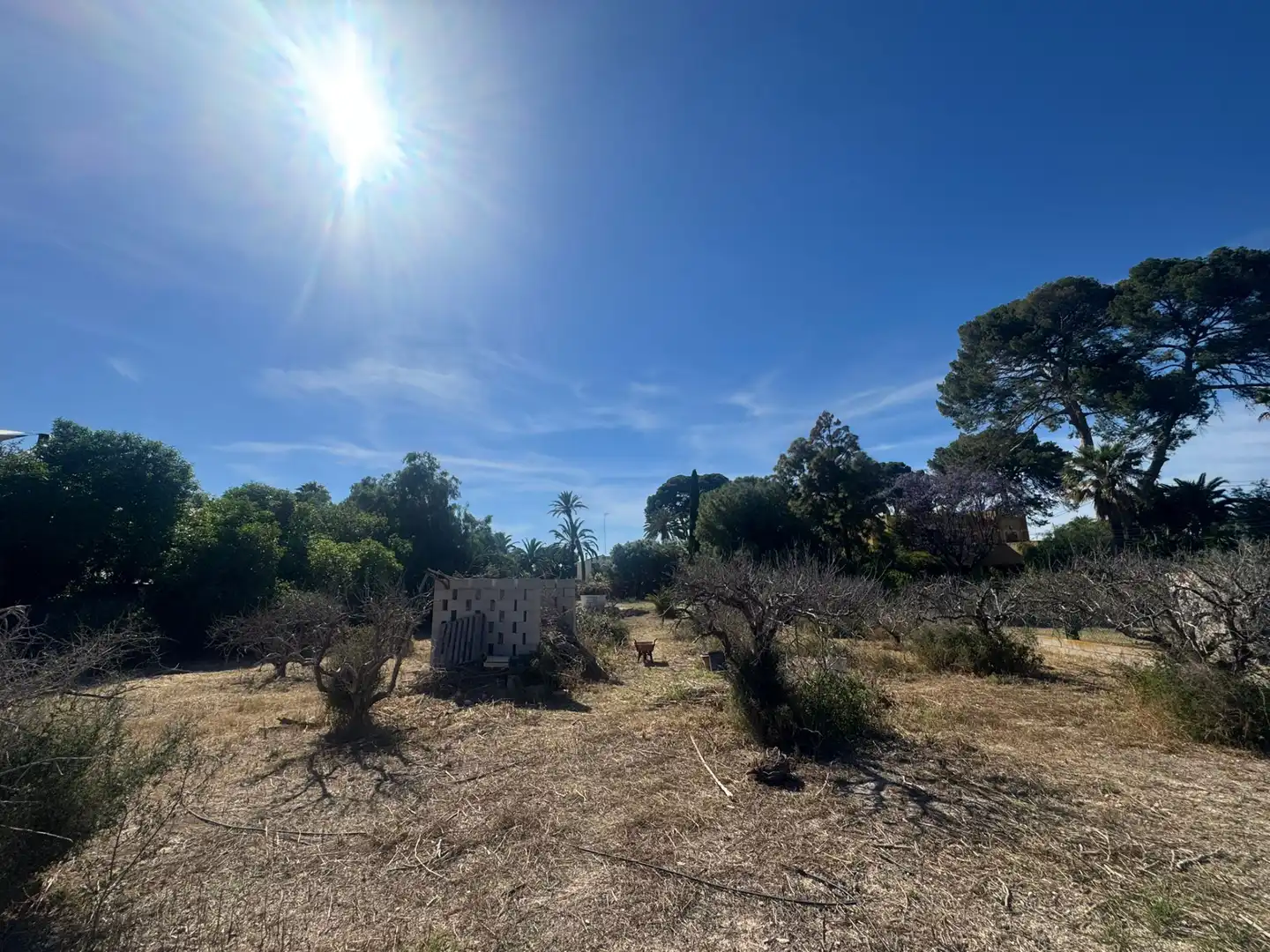 Land for sale in Sant Joan d'Alacant