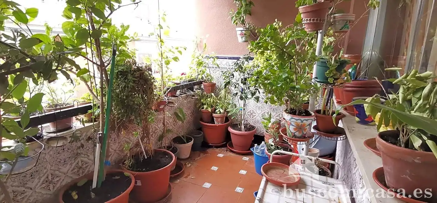 Terrassa de Pis en venda en Linares amb Aire condicionat, Calefacció i Balcó