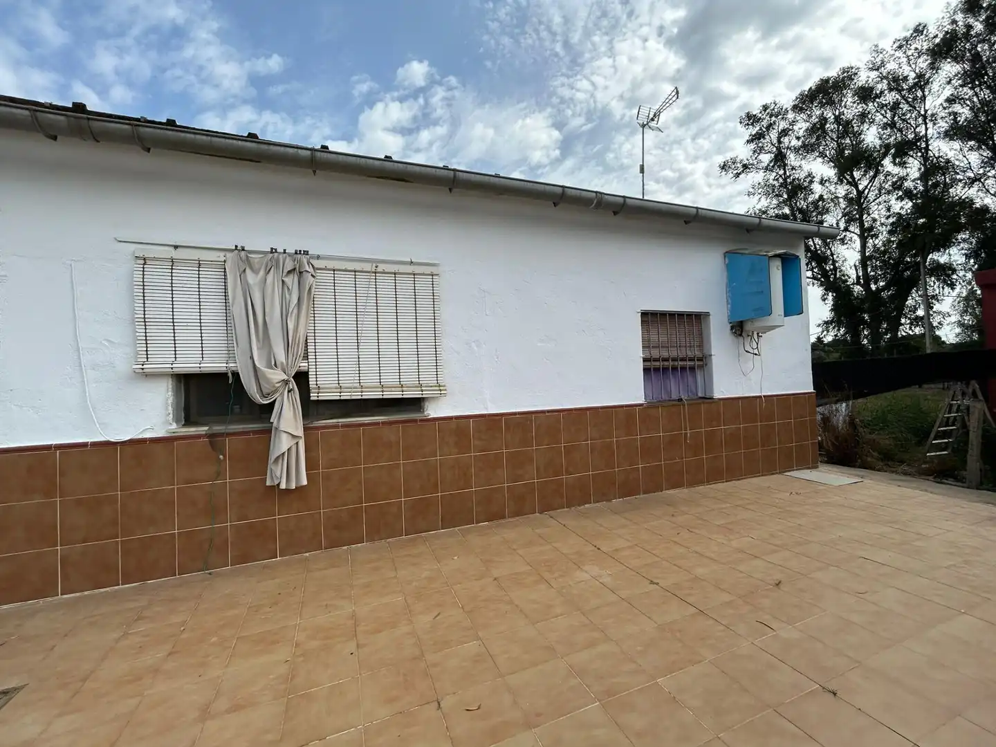 Vista exterior de Finca rústica en venta en Utrera