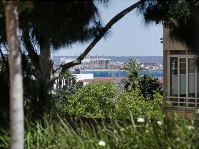 Local comercial en Venta en Porto Pi