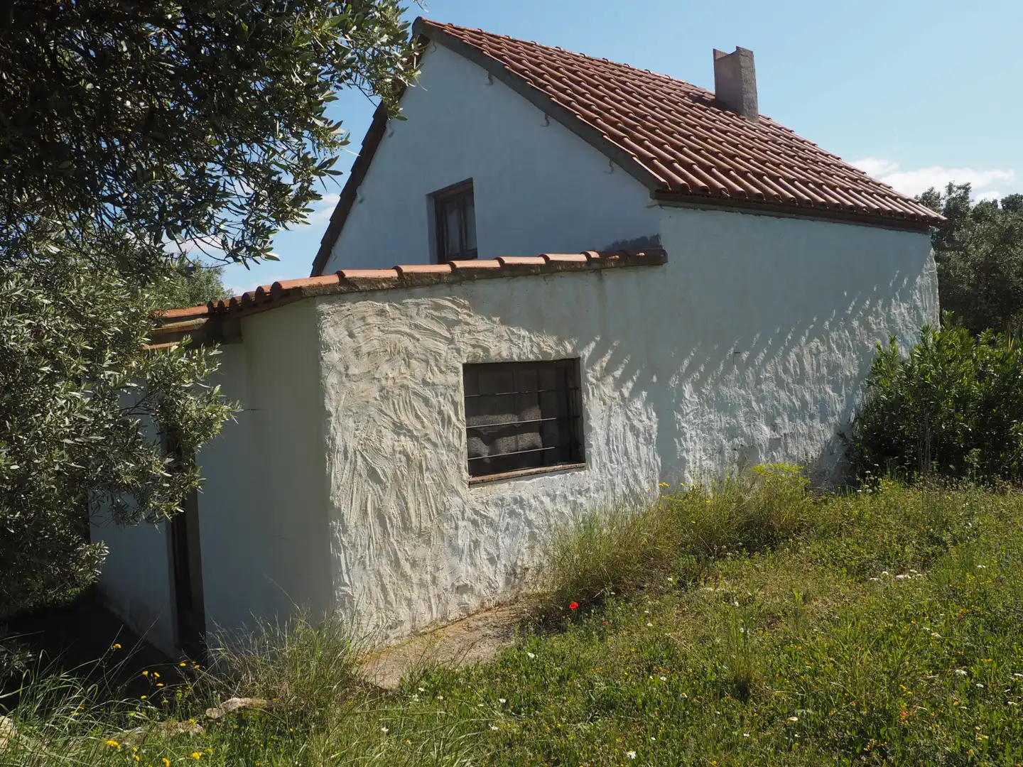 Terrain rustique à vendre à Avinguda Colònia 5, imagen 3