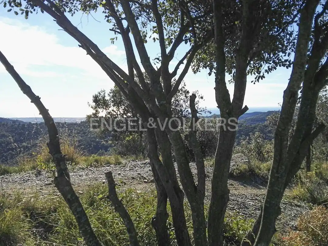 Terreny residencial en venda a Torrelles de Llobregat, imagen 8