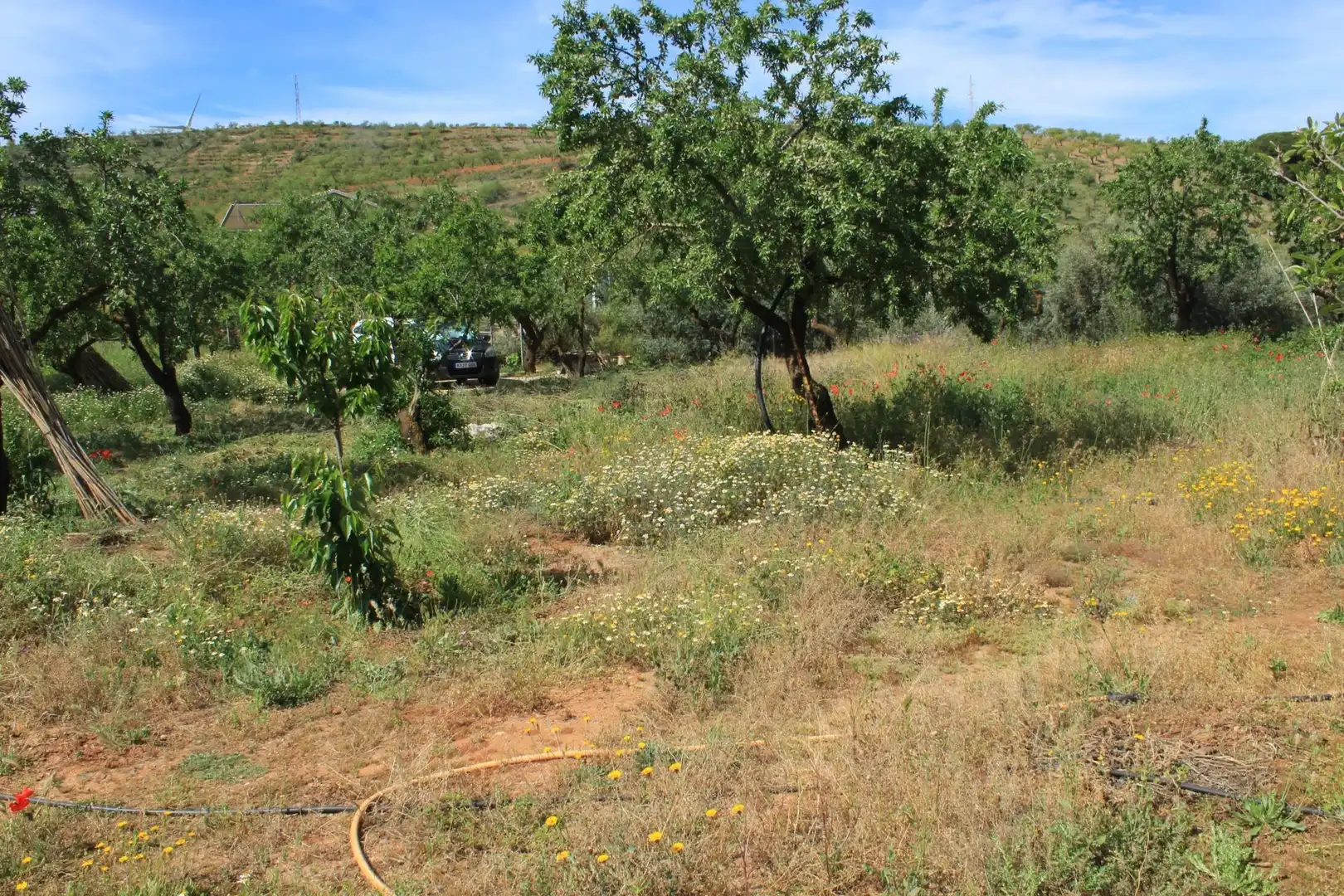 Terreno en venta en Nigüelas