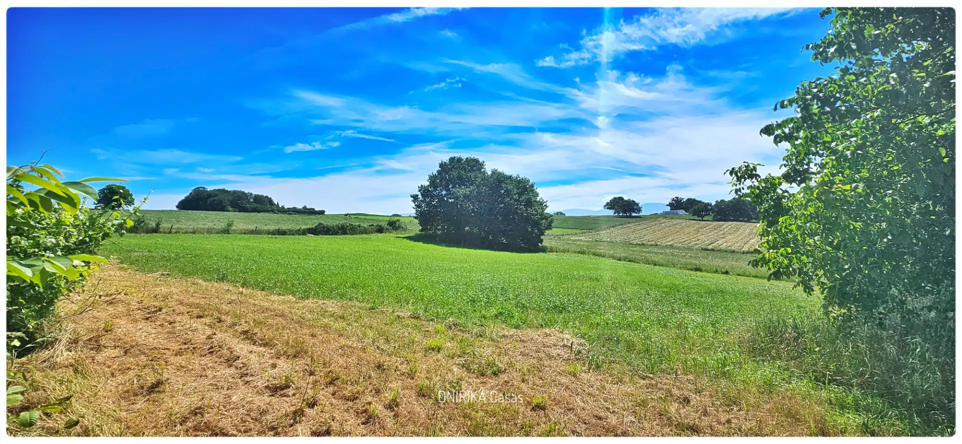 Houses for sale in Sarria  with Private garden, Storage room and Furnished
