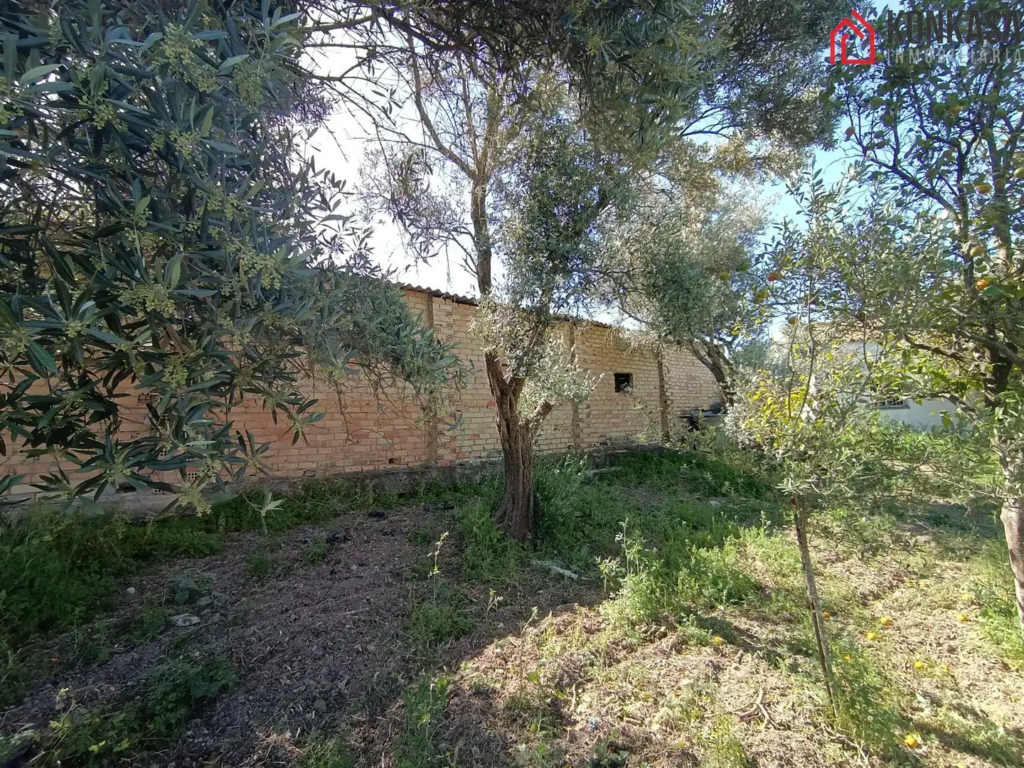 Casa rústica en venda a Arcos de la Frontera, imagen 27