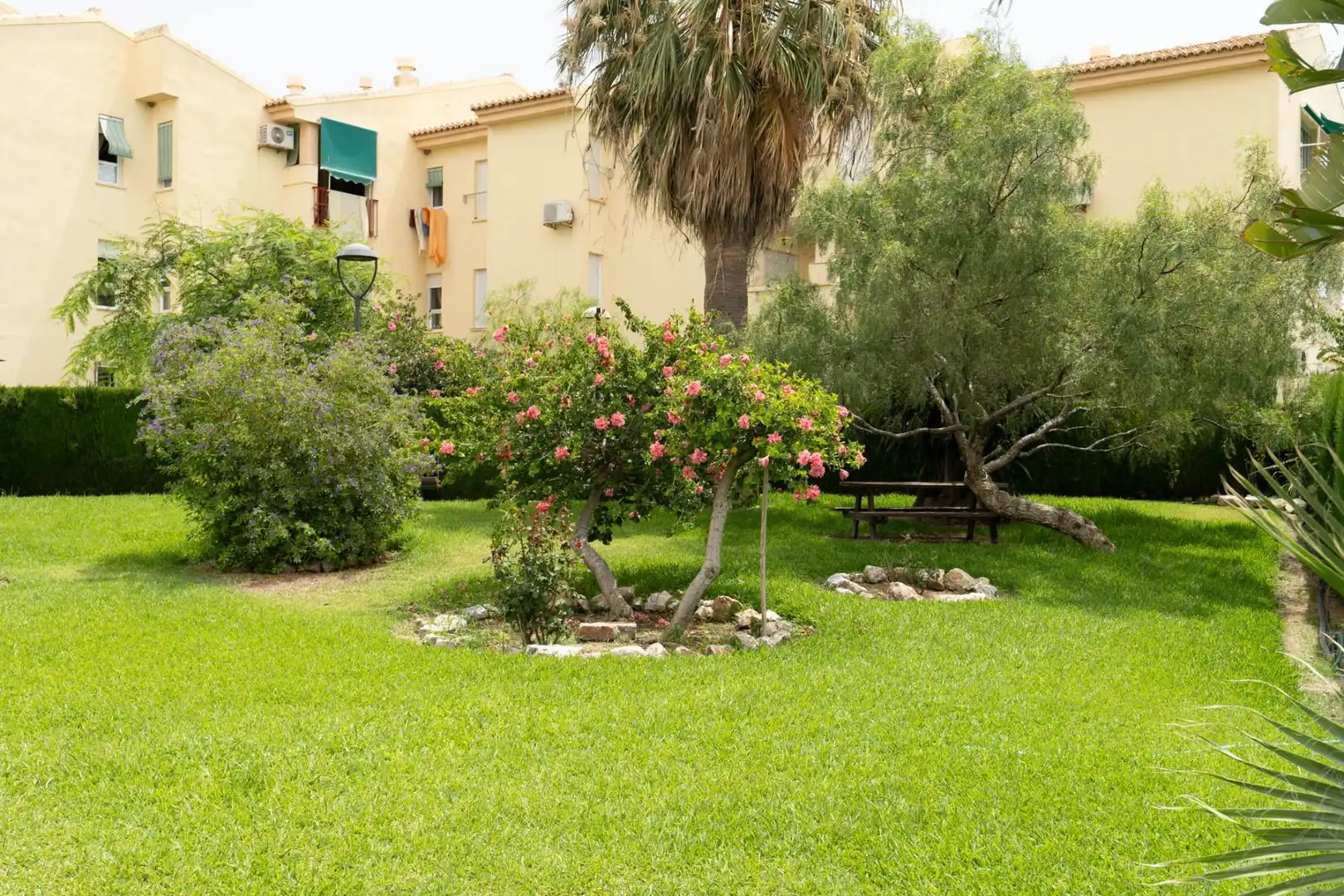 House with terrace for sale in Calle Calle Andrómeda, imagen 29
